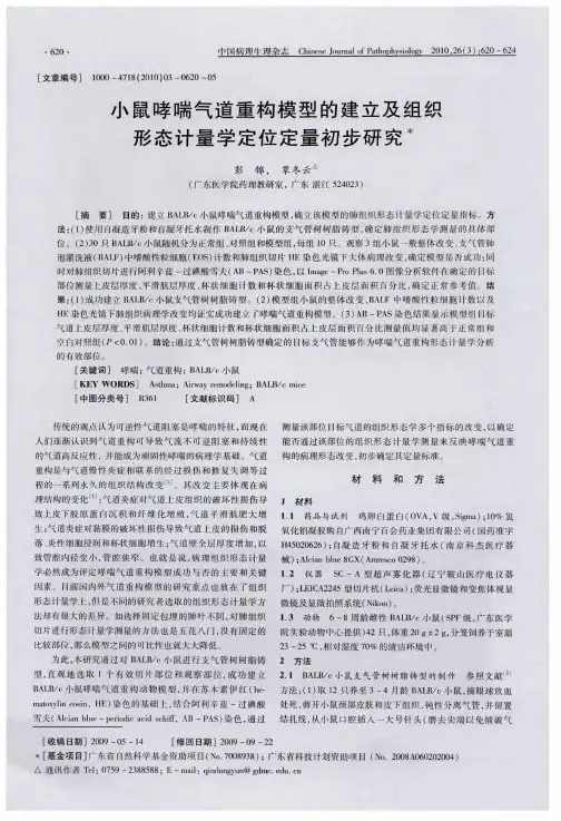 小鼠哮喘气道重构模型的建立及组织形态计量学定位定量初步研究