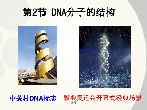 完整版DNA分子的结构课件(示范课).ppt