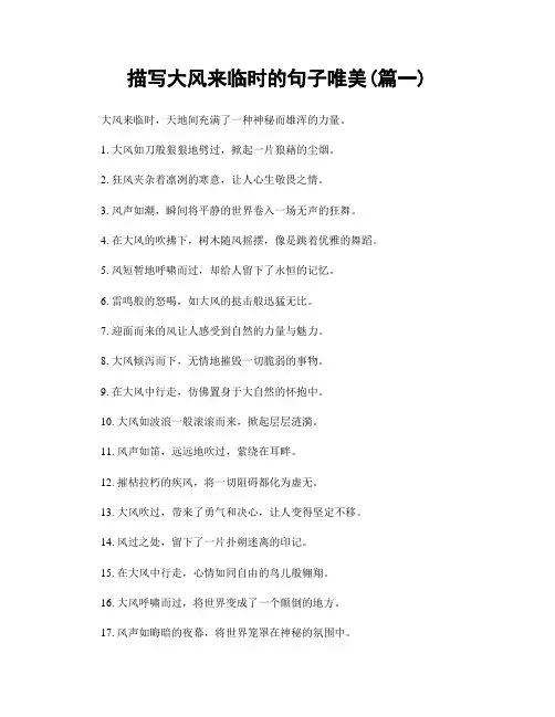 描写大风来临时的句子唯美(精选两篇)