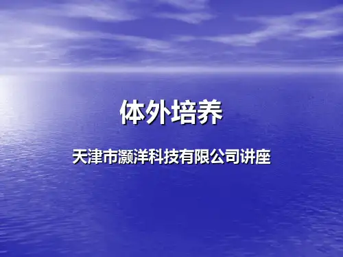 体外培养
