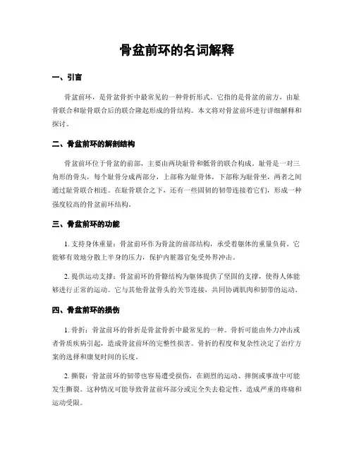 骨盆前环的名词解释