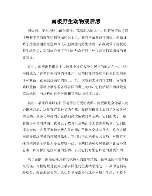 南极野生动物观后感