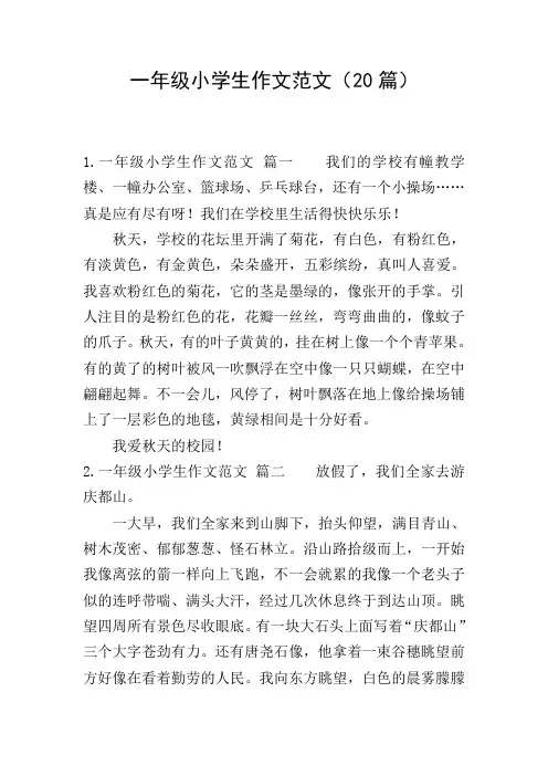 一年级小学生作文范文(20篇)