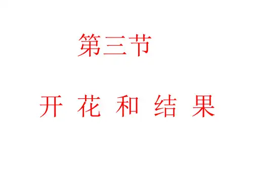 第三节开花和结果课件-人教版生物七年级上册