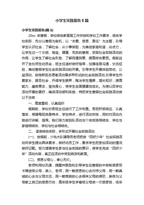 小学生实践报告5篇