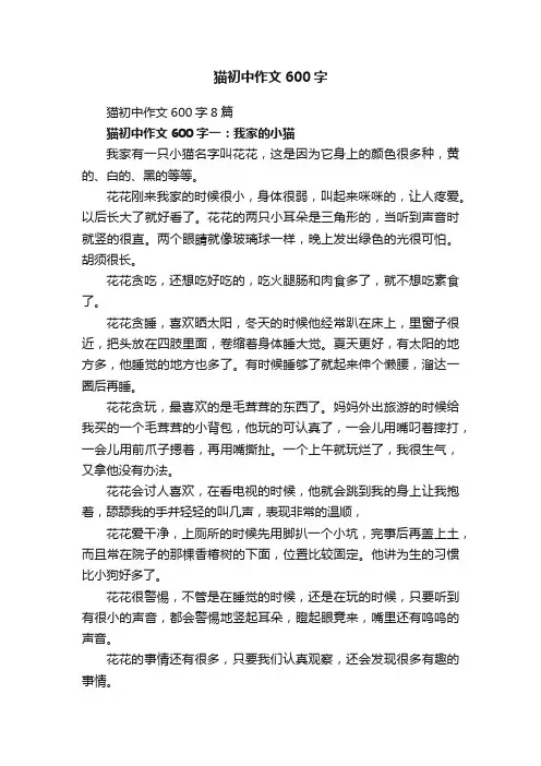 猫初中作文600字