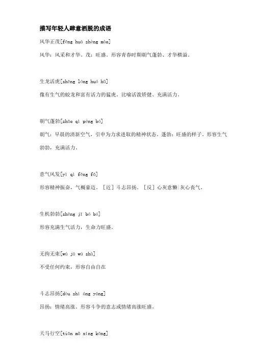 描写年轻人肆意洒脱的成语