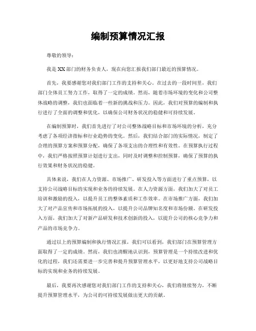 编制预算情况汇报