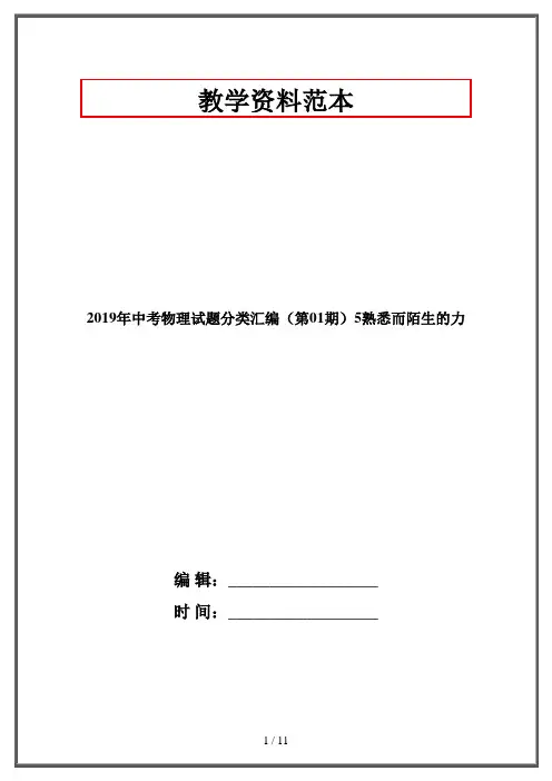 2020年中考物理试题分类汇编(第01期)熟悉而陌生的力
