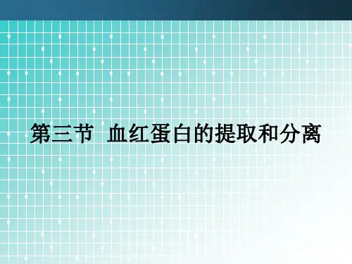 人教版高中生物选修一专题五课题3 血红蛋白的提取和分离 课件(共14张PPT)
