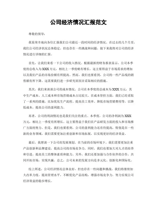 公司经济情况汇报范文