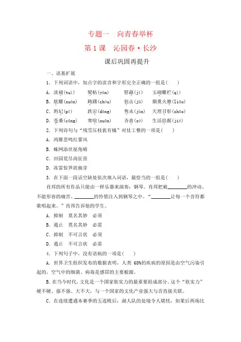 苏教版语文必修一课后巩固提升练习专题1第1课