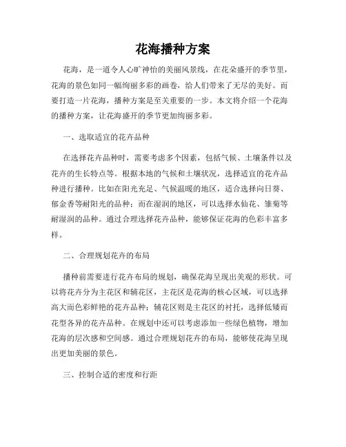 花海播种方案