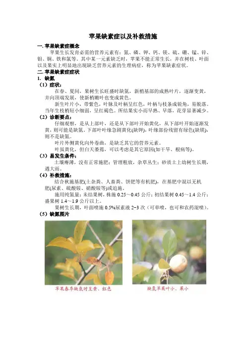 苹果缺素症以及补救措施