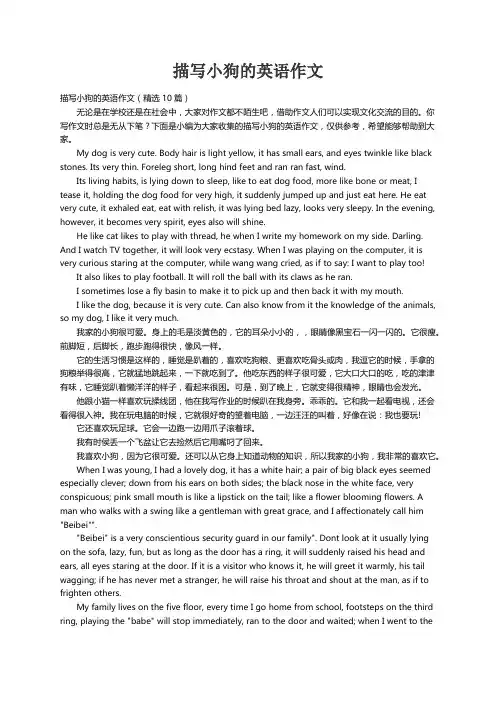 描写小狗的英语作文（精选10篇）