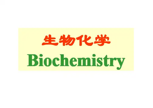 生物化学十三章
