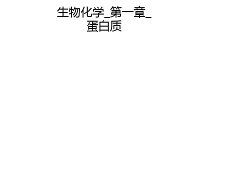 生物化学_第一章_蛋白质