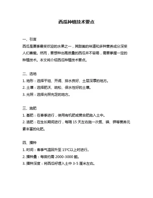 西瓜种植技术要点