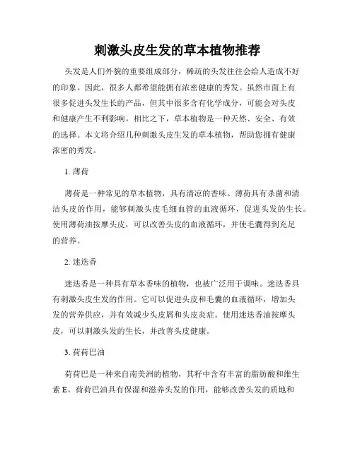 刺激头皮生发的草本植物推荐