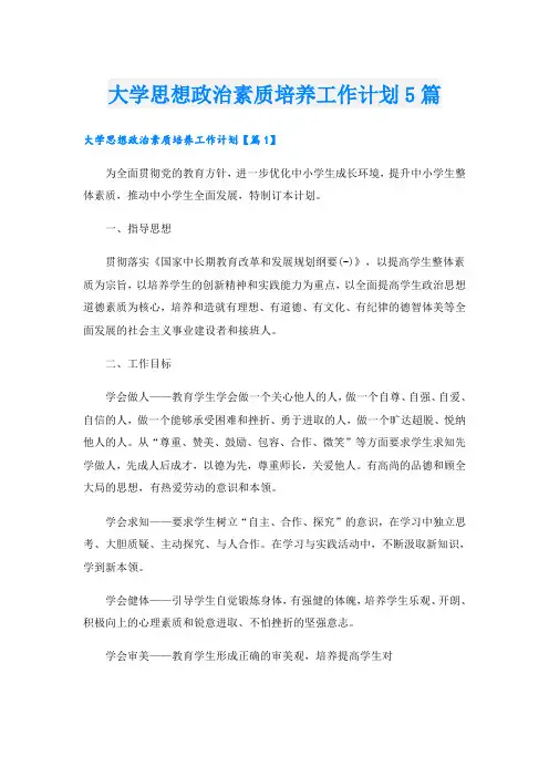 大学思想政治素质培养工作计划5篇
