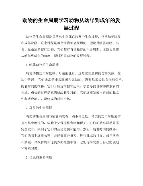 动物的生命周期学习动物从幼年到成年的发展过程