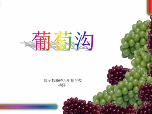 新版二年级上册语文课件-11葡萄沟｜人教部编版(共11张PPT)演示课件