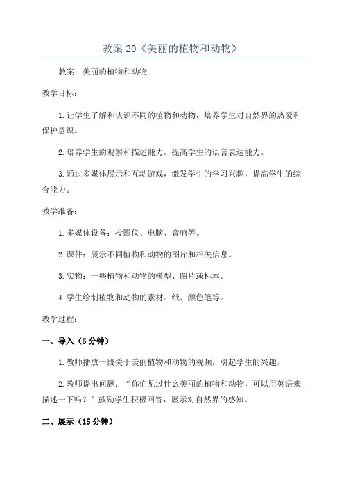 教案20《美丽的植物和动物》