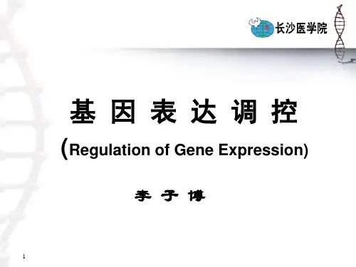 《基因表达调控》PPT课件