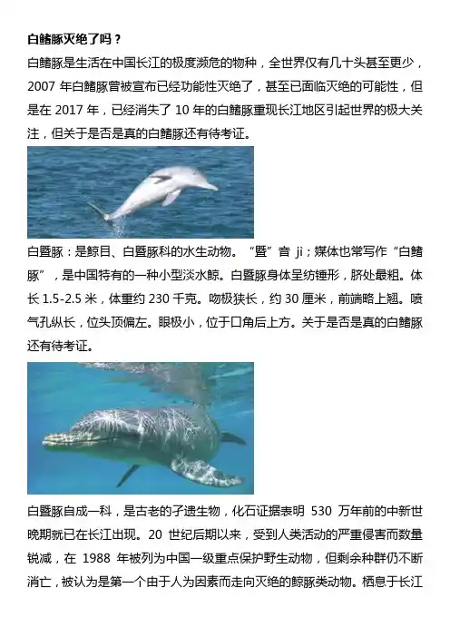 白鳍豚灭绝