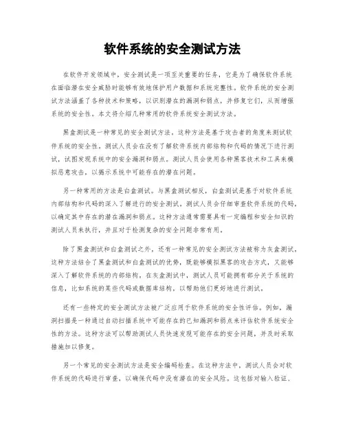 软件系统的安全测试方法