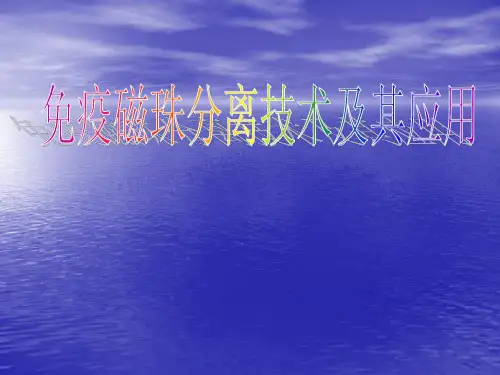 免疫磁珠