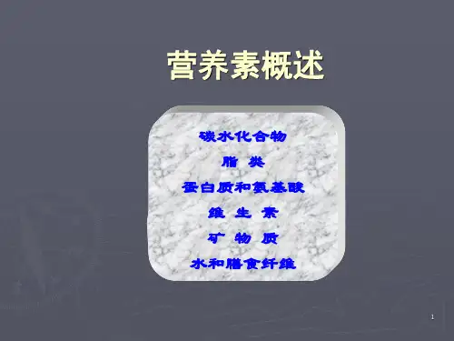 【2024版】七大类营养素