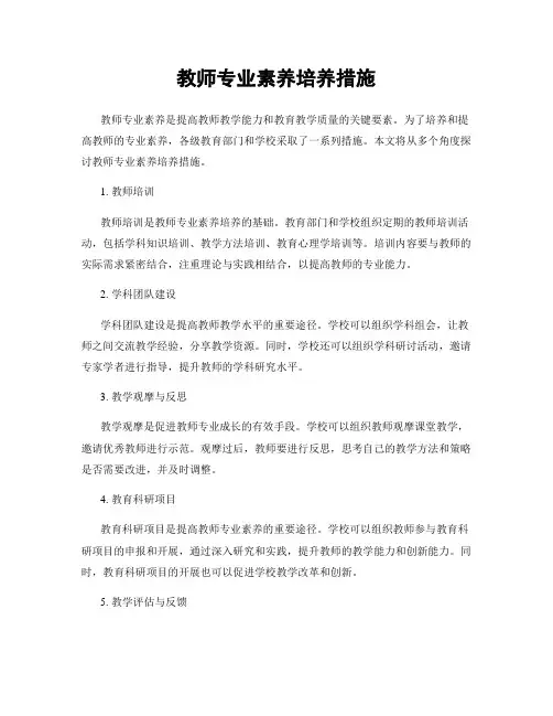教师专业素养培养措施