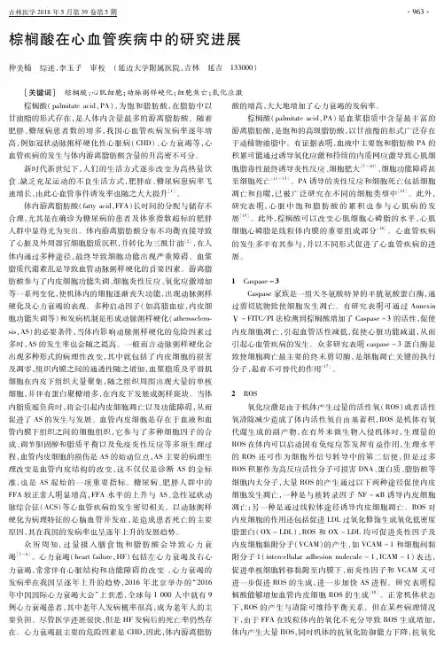 棕榈酸在心血管疾病中的研究进展