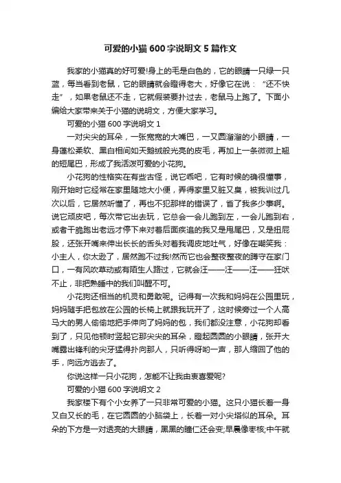 可爱的小猫600字说明文5篇作文
