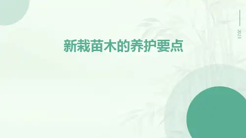 新栽苗木的养护要点
