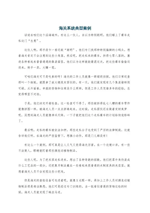 海关系统典型案例