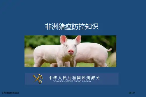 非洲猪瘟防控知识