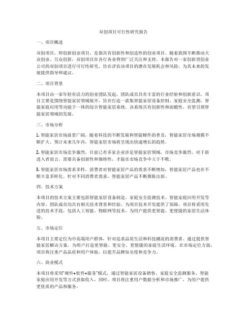 双创项目可行性研究报告