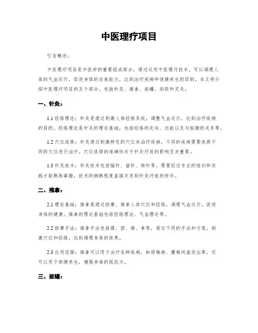 中医理疗项目