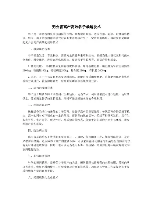 无公害高产高效谷子栽培技术