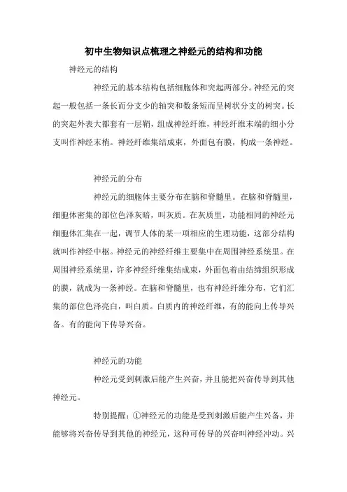 初中生物知识点梳理之神经元的结构和功能