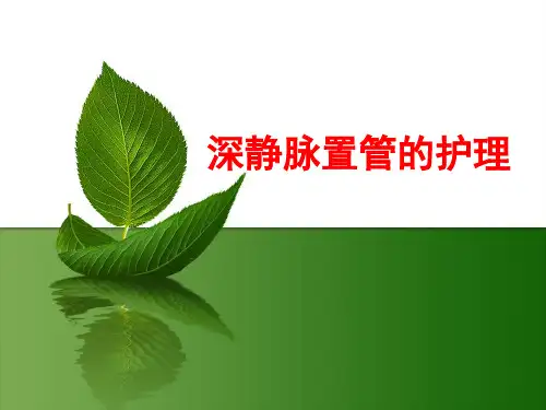 深静脉置管的护理