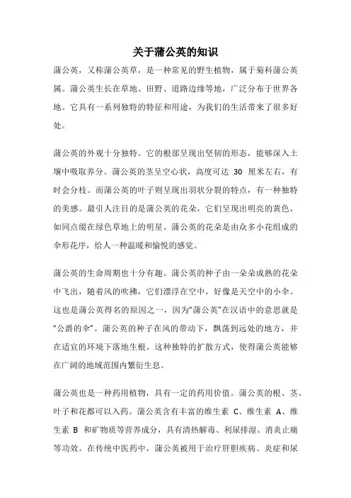 关于蒲公英的知识