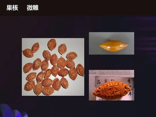 核舟记优秀精美课件ppt
