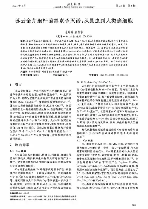 苏云金芽孢杆菌毒素杀灭谱从昆虫到人类癌细胞