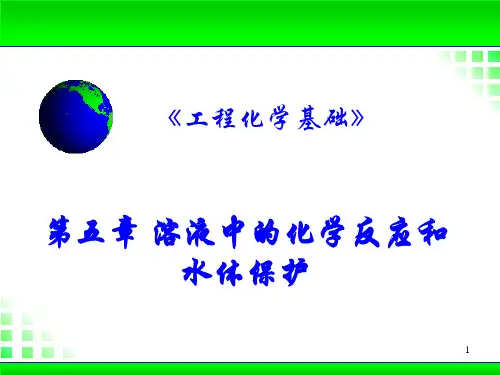 水溶液中的化学反应课件