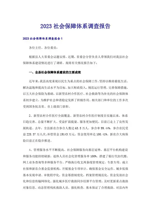 2023社会保障体系调查报告