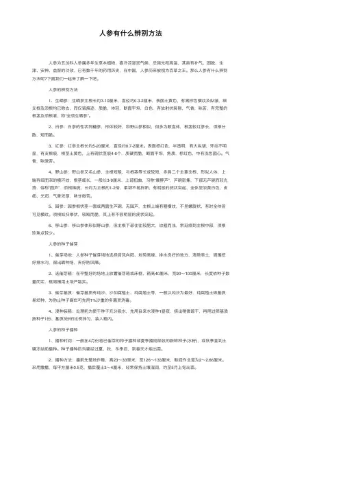 人参有什么辨别方法