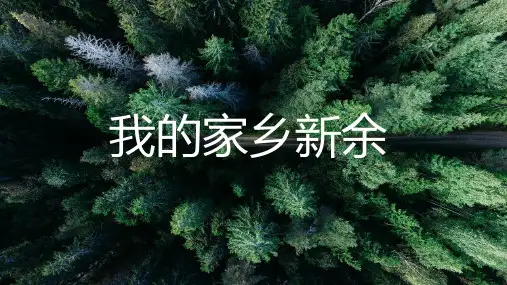 我的家乡新余